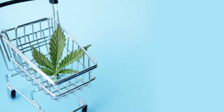 Urban Wellness Blog Green Wednesday And Black Friday In New Mexico: Your Urban Wellness Guide