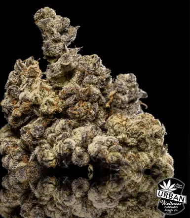 Urban Wellness Our Strains Ice Cream Cake