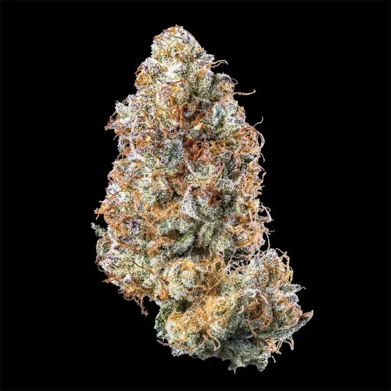 Urban Wellness Our Strains Barf Breath