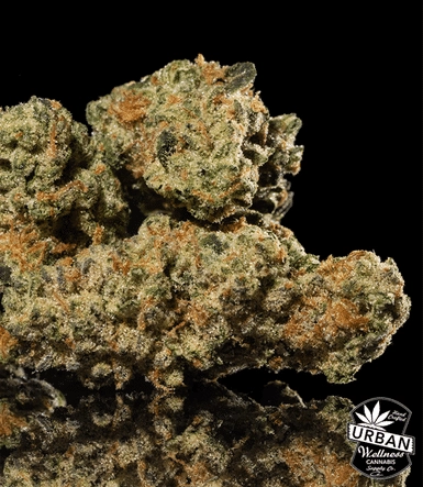 Urban Wellness Our Strains Black Garlic