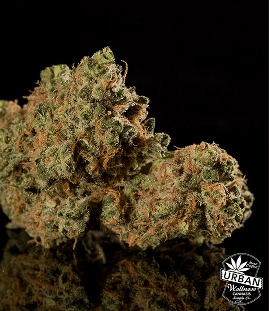 Urban Wellness Our Strains Blue Dream