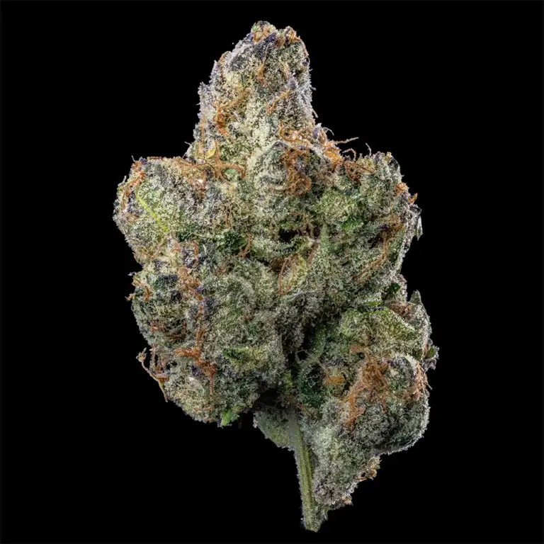 Urban Wellness Our Strains Blue Zushi