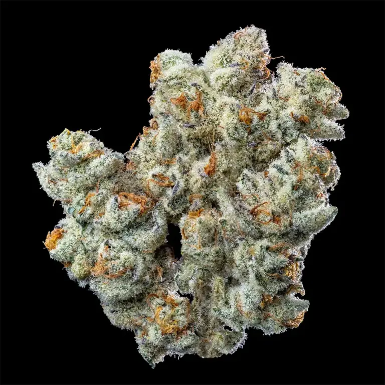 Urban Wellness Our Strains Cap Junky