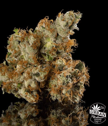 Urban Wellness Our Strains Cookies And Chem