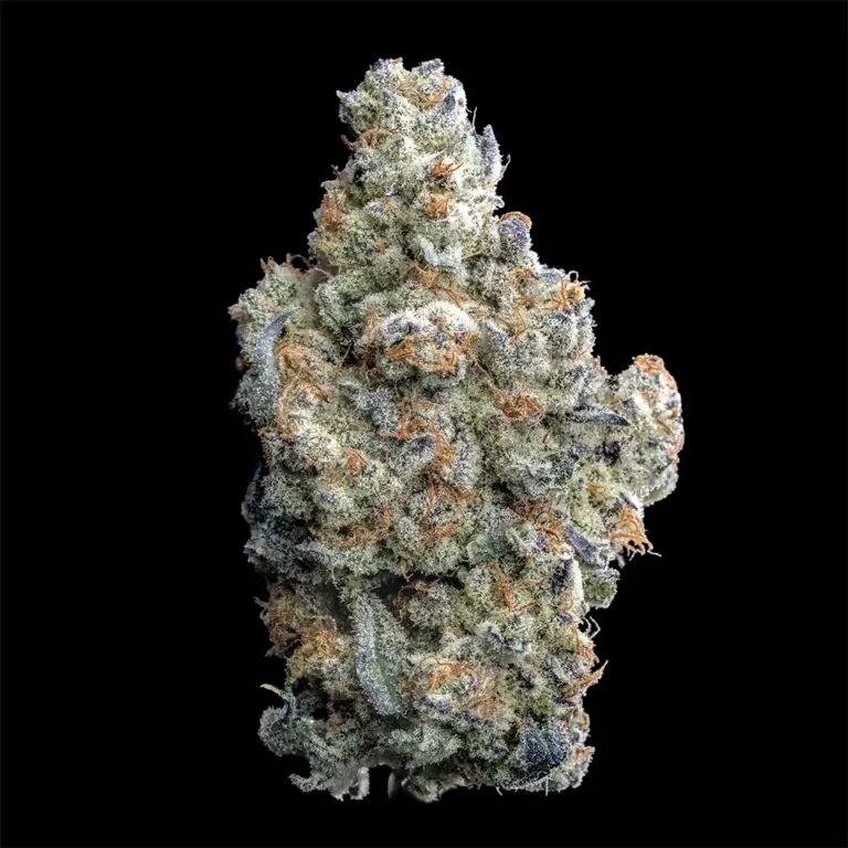 Urban Wellness Our Strains Dante's Inferno #8