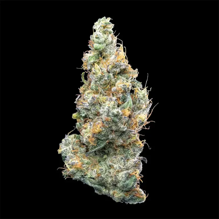 Urban Wellness Our Strains Don Mega