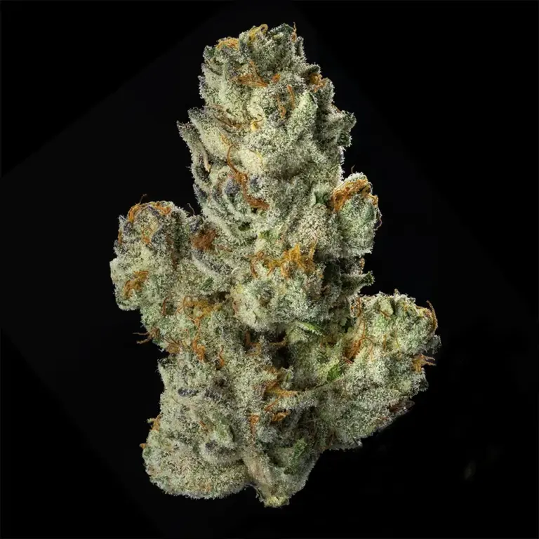 Urban Wellness Our Strains Gelato Pops