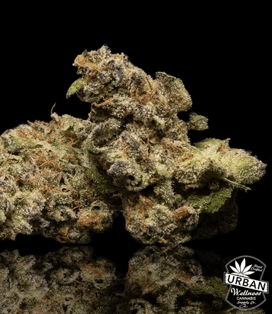 Urban Wellness Our Strains Grape Galette