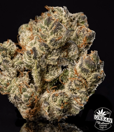 Urban Wellness Our Strains Hash Face