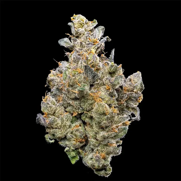 Urban Wellness Our Strains Lung Buster