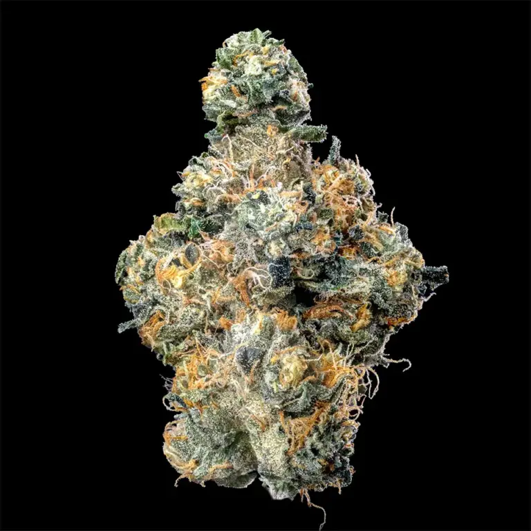 Urban Wellness Our Strains Pine Fruit