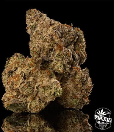 Urban Wellness Our Strains Punch Funk