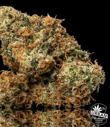 Urban Wellness Our Strains Strawguava