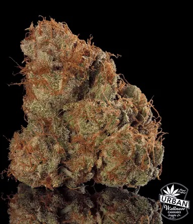 Urban Wellness Our Strains Sunkiss