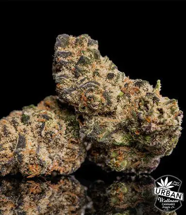 Urban Wellness Our Strains Wilson Zero