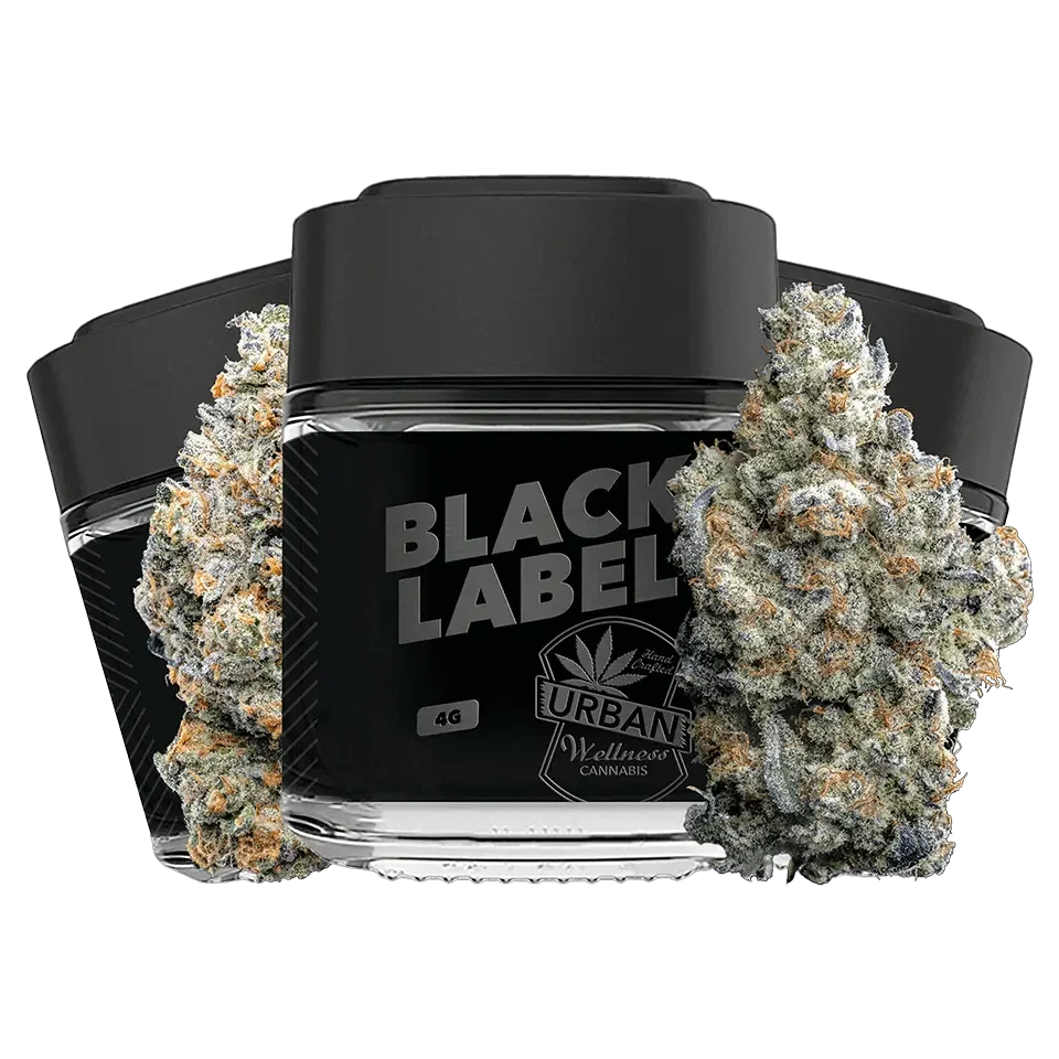 Black Label したぴーさま Black Label - Urban Wellness Cannabis Dispensary | Albuquerque